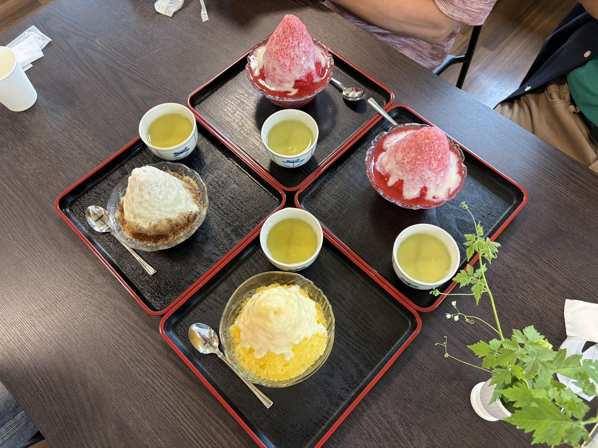 Kisaragigetti's tweet photo. カキ氷🍧が身に染みるわ❗️😍 https://t.co/GspIqH6BuE