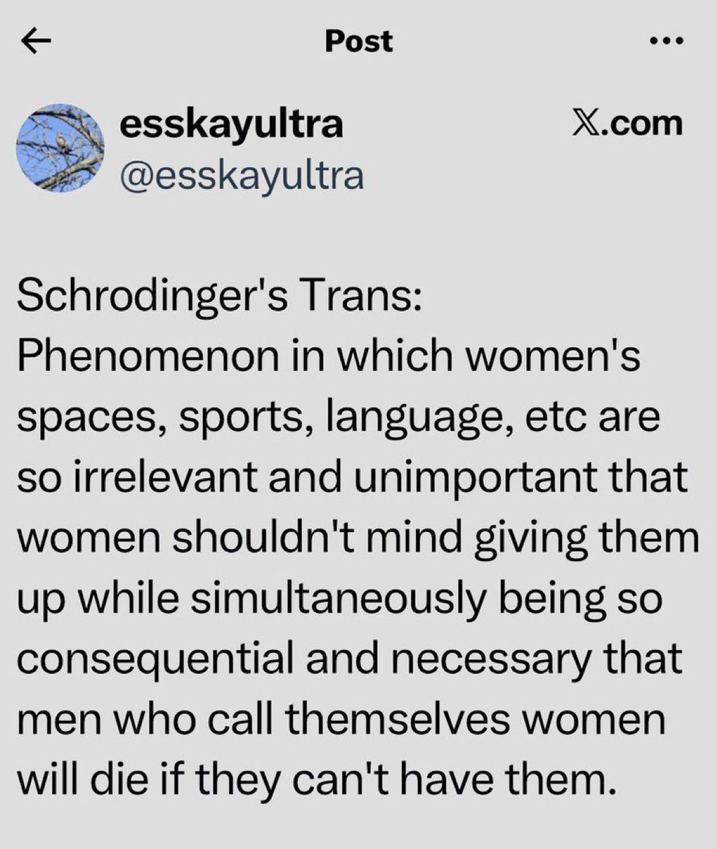 missdelein2's tweet photo. Schrödingers Trans:

Ein Phänomen, bei dem Frauenräume, Sport, Sprache usw. so irrelevant und unwichtig sind, dass Frauen sie bedenkenlos aufgeben sollten – und gleichzeitig so folgenreich und notwendig, dass Männer, die sich als Frauen bezeichnen, sterben, wenn sie sie nicht bekommen.