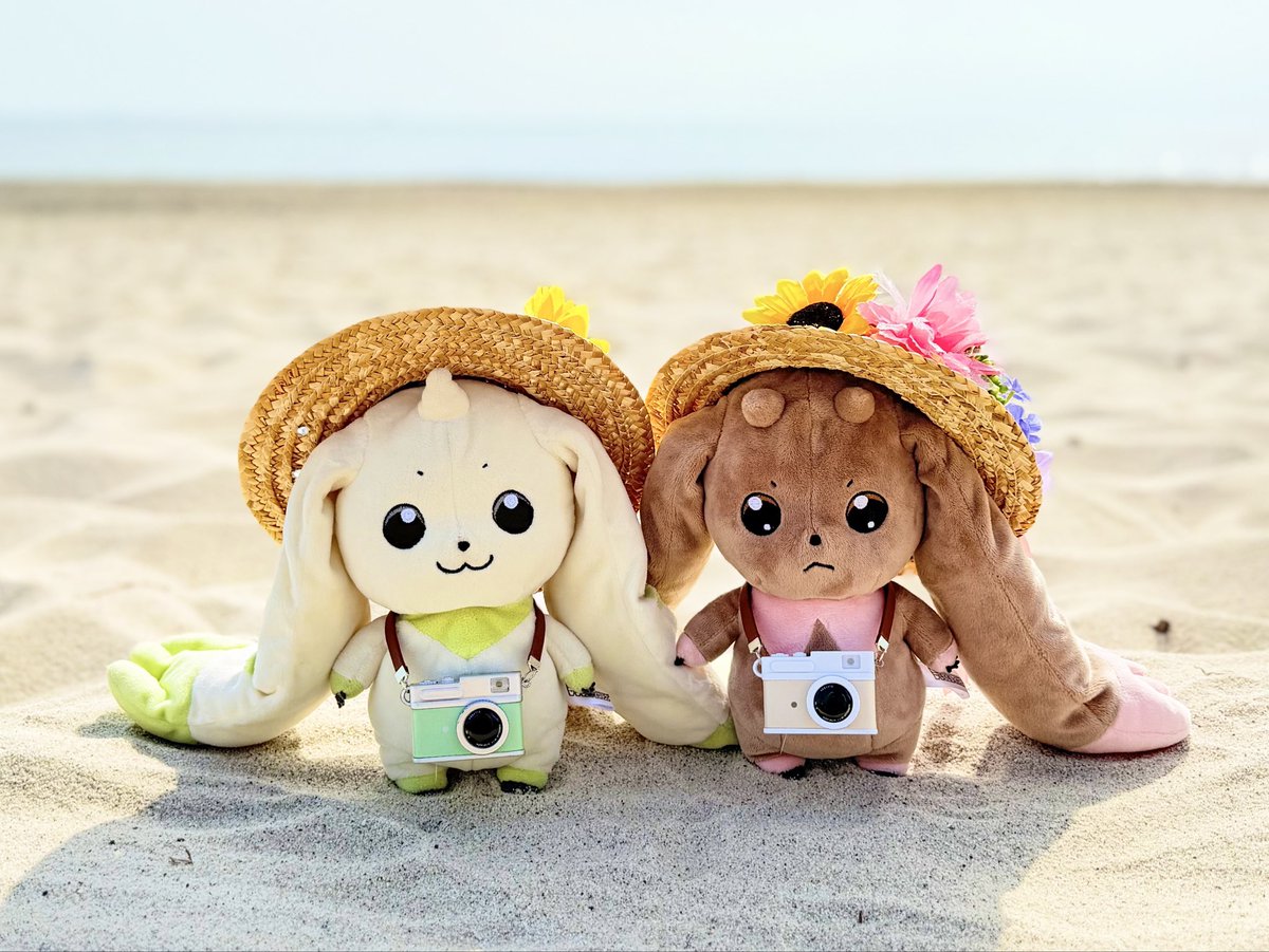 moririnnomori02's tweet photo. 今日は近所の海で☀️📸
#テリアモン
#ロップモン
#デジモン https://t.co/Ln3xl2YCSf