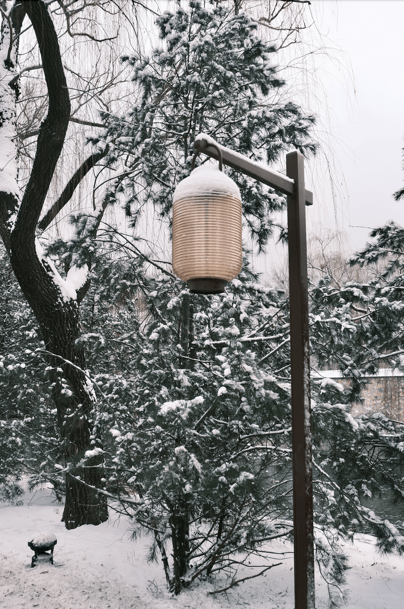 RGlath's tweet photo. [First snowfall of 2024! Trees look like white candy canes  Winter magic just touched the town!]， https://t.co/oms9koP7fk