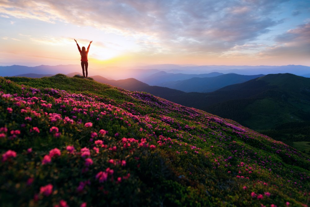 BethFratesMD's tweet photo. "This above all: to thine own self be true." 
- Hamlet by Shakespeare

#sundayvibes #Shakespeare #ShakespeareSunday #SundayMorning #WellnessJourney #health #mentalhealth #wellbeing https://t.co/PFClWtIKxU