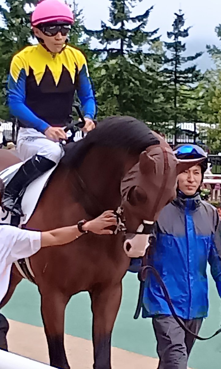 chiyoda_farm's tweet photo. 残り少なくなったJRAの未勝利戦⋯
今週の千代田牧場生産馬たちは、未勝利戦の2、3着が多数⋯😢
未勝利戦は2、3着ではダメなんです⋯

そんな生き残りを賭けた未勝利戦。
昨日の札幌で勝ち上がった千代田牧場生産馬インタノン🐴
可愛いかった派手男くんが、やっとの思いで掴んだ嬉しい初勝利です✨
お兄さんは、みんな大好き千代田牧場生産馬のヴェローチェオロ🐴くん。

今後の活躍のチャンスを得たので、ぜひ頑張ってオロの様な人気者になってもらいたいものです💪