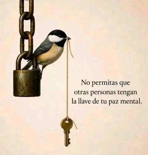 MijaresVictor's tweet photo. https://t.co/q8zCLrXKz2