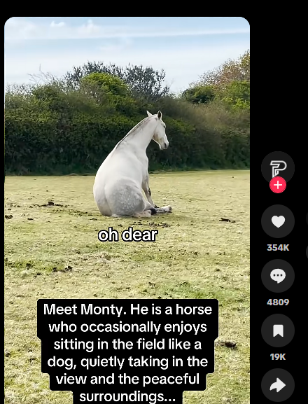 QuantsDev1223's tweet photo. New Horse in pain?

https://t.co/mW5qZ6QtDy https://t.co/x2dQLh0lKz