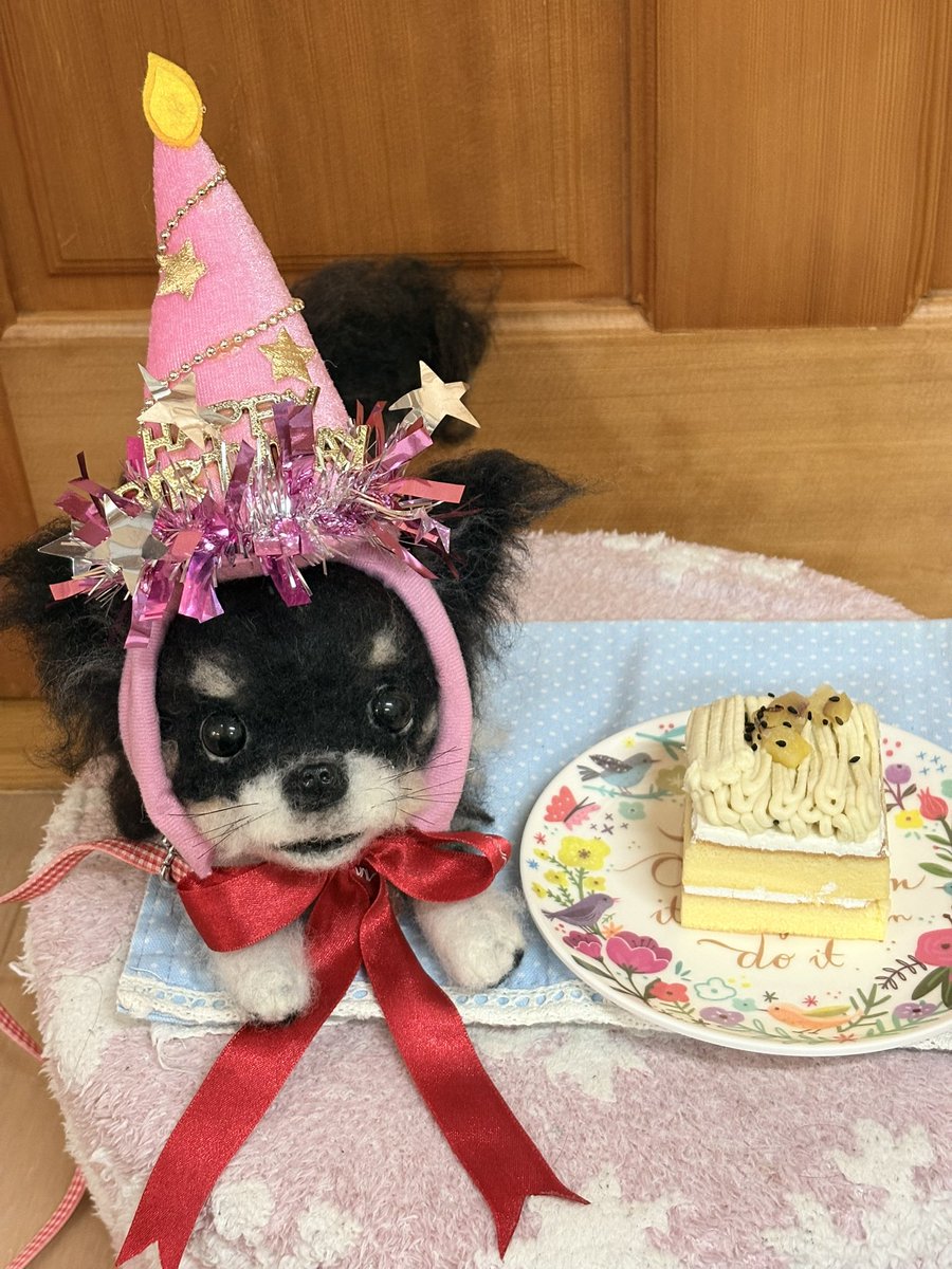 berimama's tweet photo. 今日はベリーの6回目の15歳の誕生日だよ
🌈行かなければ20歳だったね
可愛かったなぁ
いつまで経っても可愛くて可愛くて😭 https://t.co/Xv80pVI7Qk