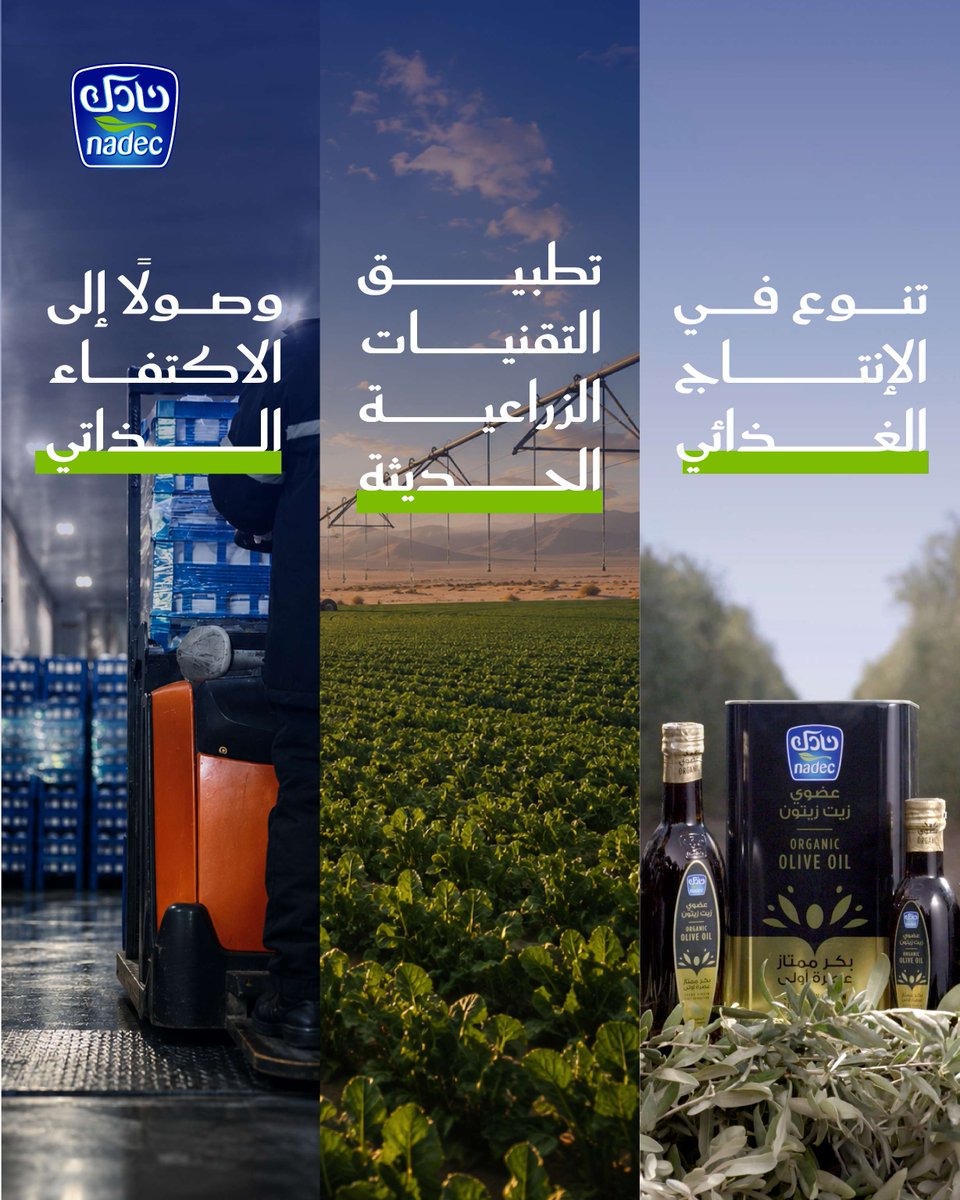 NadecFoods's tweet photo. الاستثمار الأمثل للموارد، وتطبيق التقنيات قيمة مضافة تعزز كفاءة قدراتنا الزراعية في #نادك لتحقيق الأمن الغذائي المستدام للمملكة. https://t.co/nR9Csxlr27