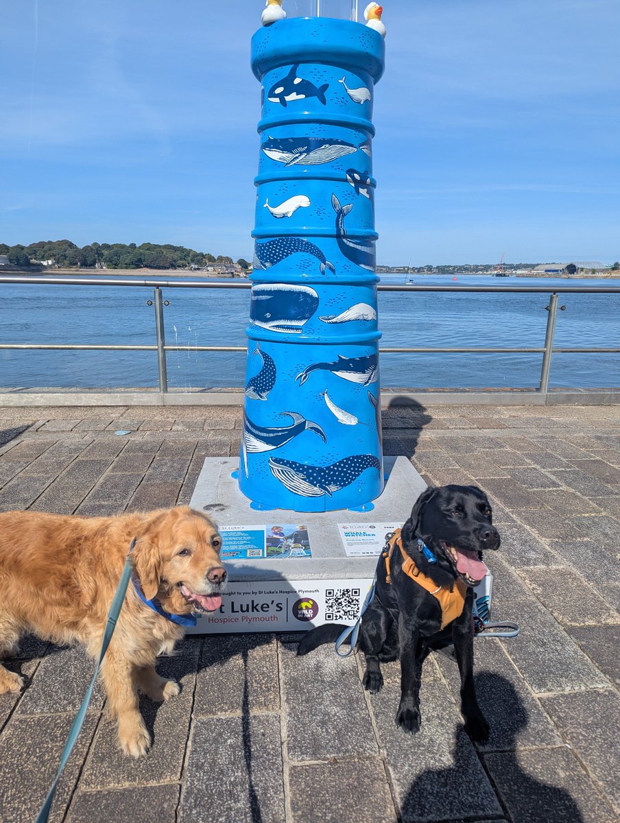 ablacktale's tweet photo. Some more lighthouse hunting this morning 😁 https://t.co/uV1SuXhL1j
