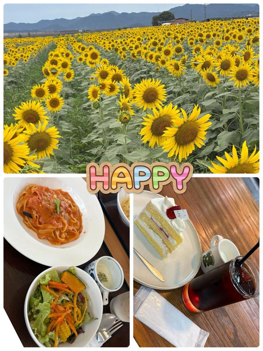 0702Chan's tweet photo. 8/9♡今日は短大の友達とランチ会🍝
今まで親子の会だったけど、子どもたちも成長してきて、大人の会に✨🥺（嬉しいような淋しいような🥹）
花の海でランチして、ひまわり🌻パワーをもらって、カフェでケーキ食べたり🍰
めっっっちゃ楽しかったぁ😆
また遊んでね☺️
（みんな旦那に感謝✨🥹） https://t.co/mfOp46tjyZ