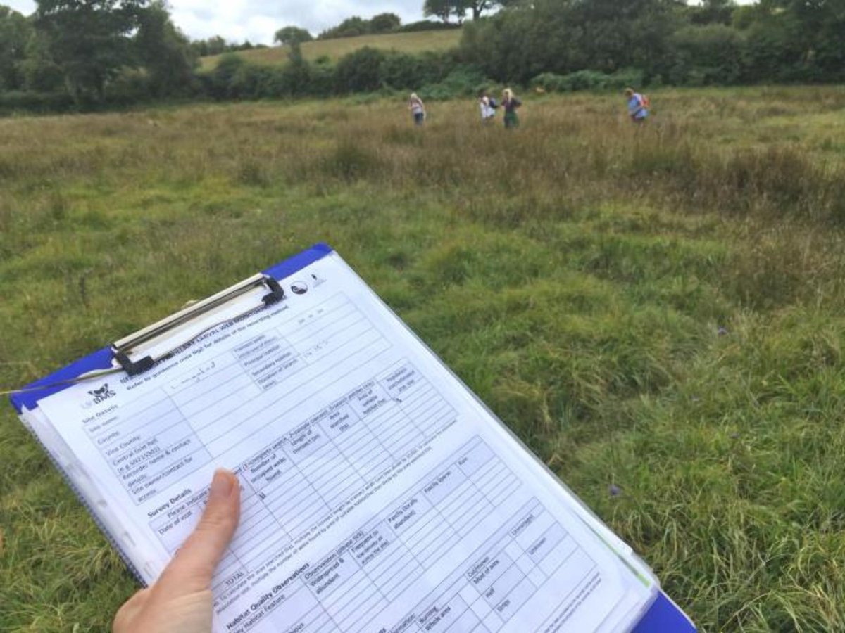 UKBMSLive's tweet photo. We are recruiting a Wider Countryside Butterfly Survey Champion for Suffolk.

Help support and inspire local WCBS Recorders while gaining experience in monitoring methods and local butterfly populations. 

More info here - https://t.co/wZBL6acK70 https://t.co/AEKD1OucmI