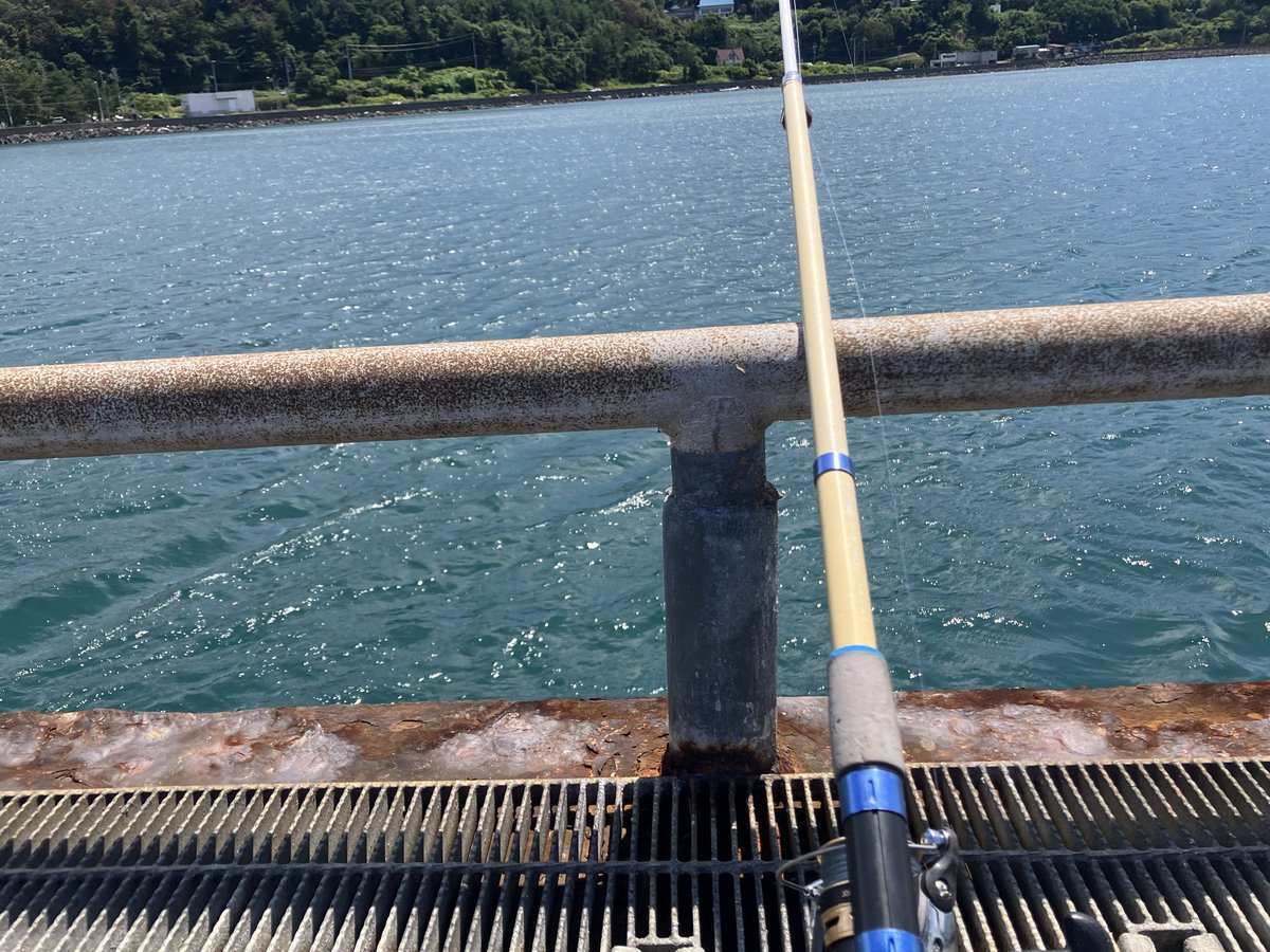 dqxguri's tweet photo. 今日は海で釣り🎣
俺は1魚で子は5魚😆
対戦ありがとうございました。 https://t.co/gUiWJU5f7P