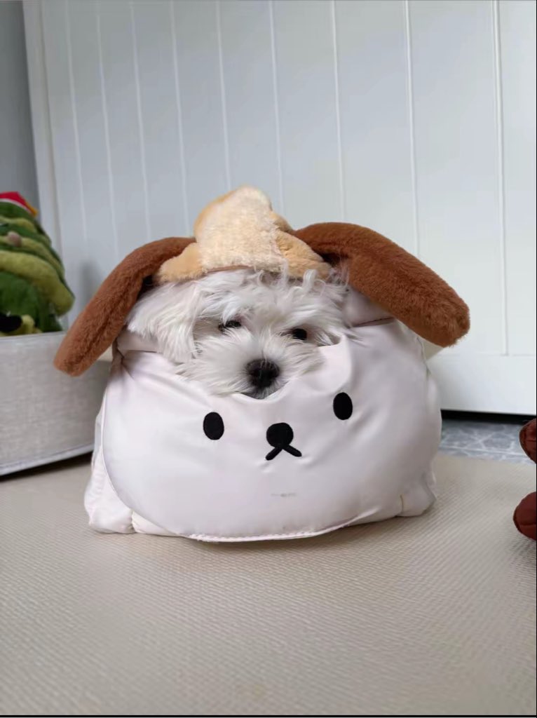 EmiBonnieTH's tweet photo. [📸] fysmilepom — TikTok Post Update (090826)

มีเด็กคิดถึงมี๊ เอ็นดู 🥺🐻‍❄️💕

#lilmuju
#beonnnie https://t.co/QuFqj9dVc8
