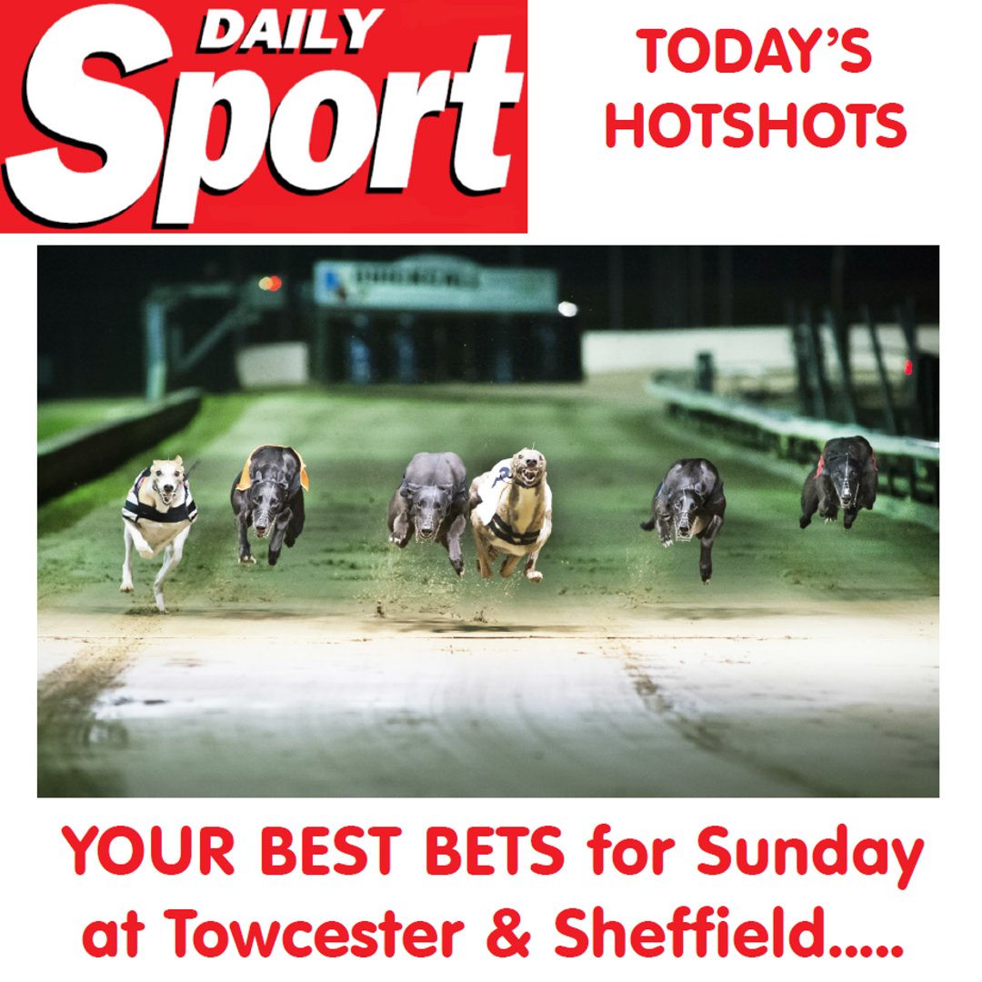 Daily_Sport's tweet photo. #DailySportSunday YOUR BEST BETS for Sunday at Sheffield & Towcester
Keep following for more tips!
https://t.co/HnyKGlNarT
#TheSport #DailySport #DogRacing #Greyhounds #TheDogs #Betting #TheRaces #Races #Tips #RacingTips #WeekendSport #Towcester #Sheffield
@OwlertonStadium https://t.co/Vfoc1vZdUZ