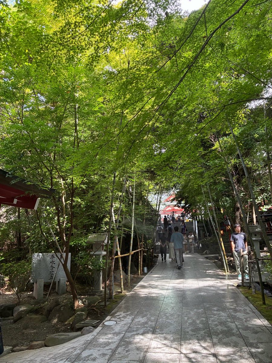 kanoko256's tweet photo. 来宮神社　　　　

樹齢二千年超の御神木大楠をまわり、樹々のことはを感じてきました https://t.co/ucnUglt3V7