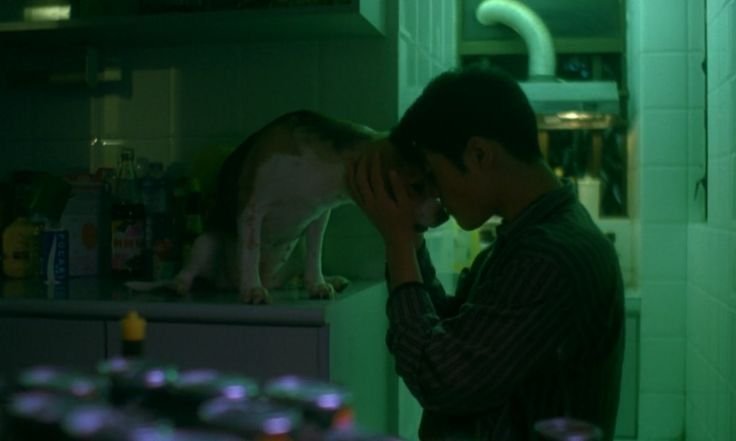 vsldoc's tweet photo. chungking express https://t.co/mSDNqqIYvV