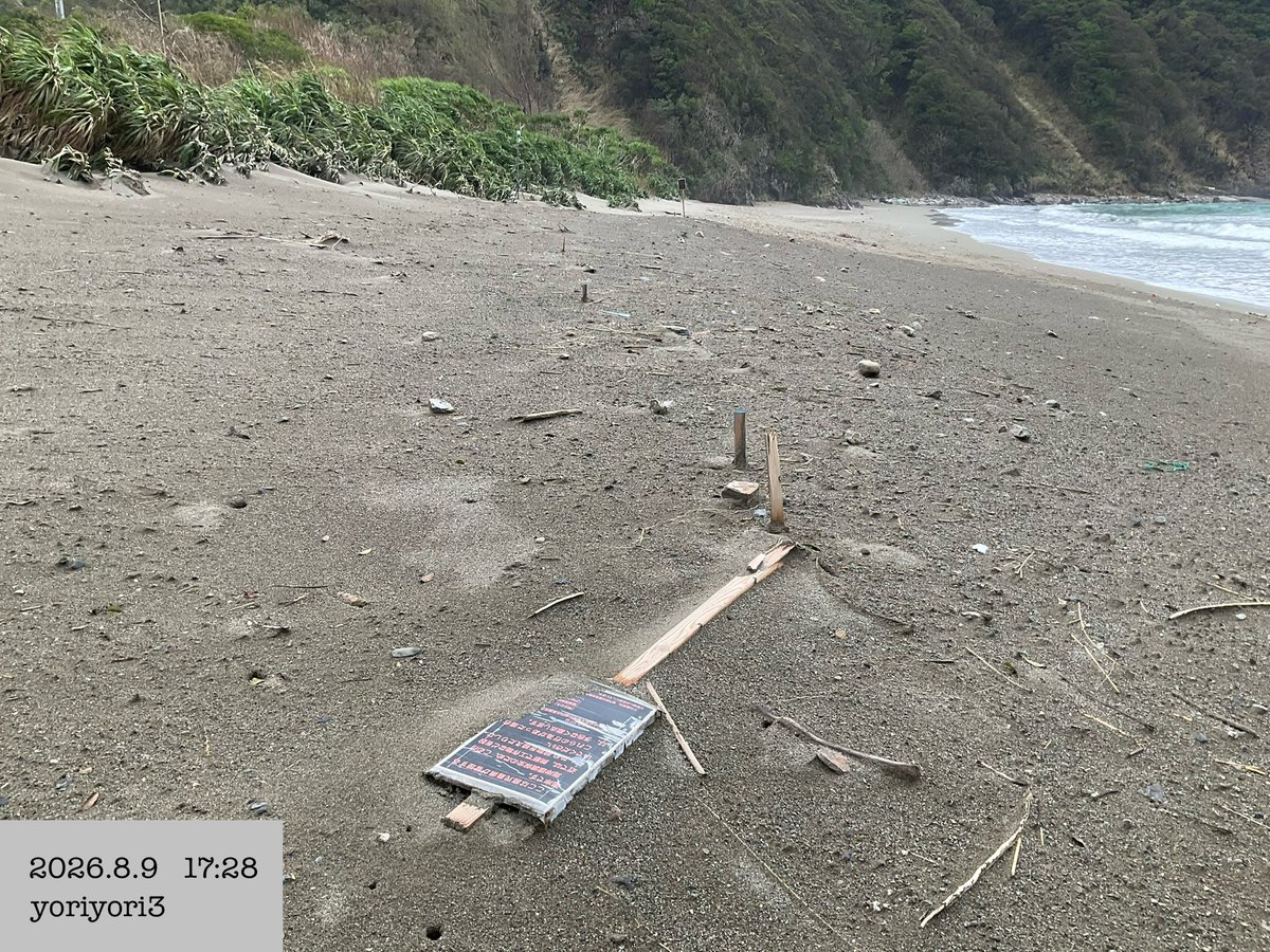 yoriyori3's tweet photo. 2026年8月9日(日)🌊奄美大島・嘉徳海岸🌊
※1枚目は8/8 撮影📸
台風13号一過の嘉徳です🌀
そんな猛烈大きな台風でもなかったと思いますが、
進行速度が遅く、それなりに…でした🌀
嘉徳浜、台風に耐えて頑張ってくれました🙏
#savekatoku #台風13号後 #奄美大島 #嘉徳浜 https://t.co/ctYBBEBNIy