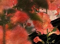 twilightLFO7's tweet photo. ノウゼンカズラ/2026

⇩全体絵はこちら⇩
https://t.co/tOpuIlvKTt

久々の新規イラストです
#イラスト #art #illustration https://t.co/FgAlR3Bvhv