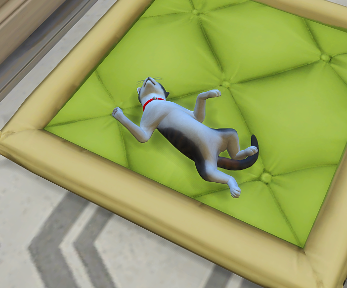 chidodoo24's tweet photo. Mon chat dort comme ça aussi dans la vraie vie haha #sims4 #thesims4 #chat https://t.co/IxHaMeLMHf