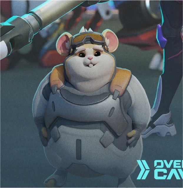 litter4k_'s tweet photo. same mood https://t.co/CNZOsOJm2A