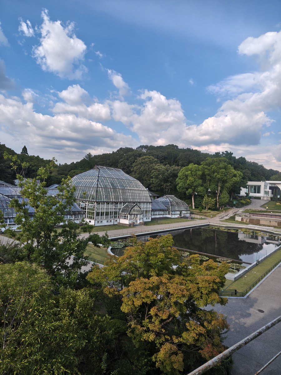 KATYAGIRI's tweet photo. 東山動物園なんて、多分小学校以来
＃東山動物園 https://t.co/sBeJVEF93L