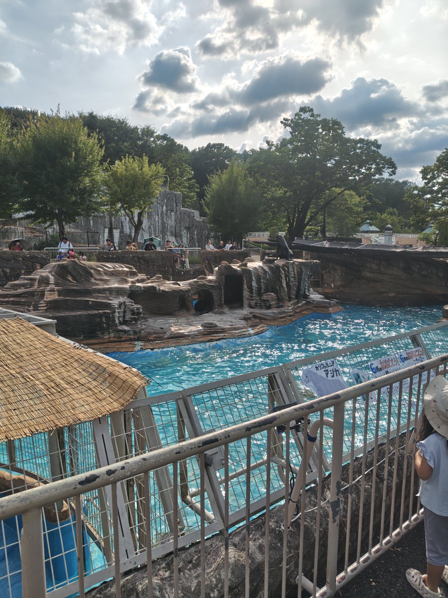 KATYAGIRI's tweet photo. 東山動物園なんて、多分小学校以来
＃東山動物園 https://t.co/sBeJVEF93L