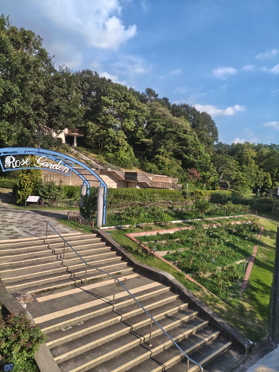 KATYAGIRI's tweet photo. 東山動物園なんて、多分小学校以来
＃東山動物園 https://t.co/sBeJVEF93L