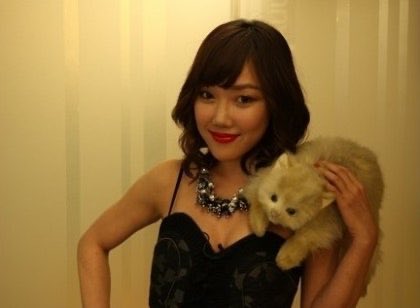 bluestoneleter's tweet photo. 방금 성수에서 자전거 타면서 어깨에 고양이 얹어놓은 사람 봤어 진심 낸시랭 고양이마냥 착 달라붙여있었어 https://t.co/lnn3AjW8YE