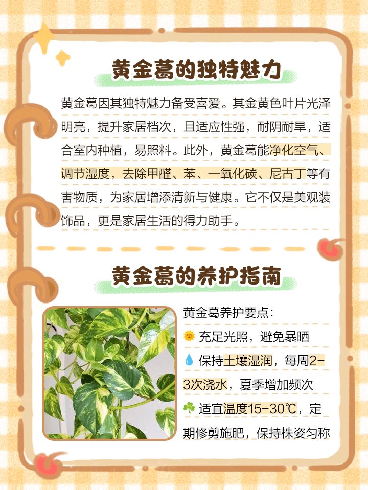 bkishore597's tweet photo. Pro tip for your pothos: Rotate it weekly for even growth! Keep soil slightly moist (not soggy) and it’ll thrive as your perfect air-purifying buddy. ， https://t.co/ZGEoZsQRr1
