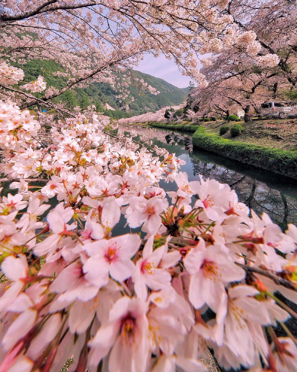 JeanetteEliz's tweet photo. Hello Everyone! 🩷 Have a beautiful day 💞🌸💕 https://t.co/Ag9ZXPF3qo
