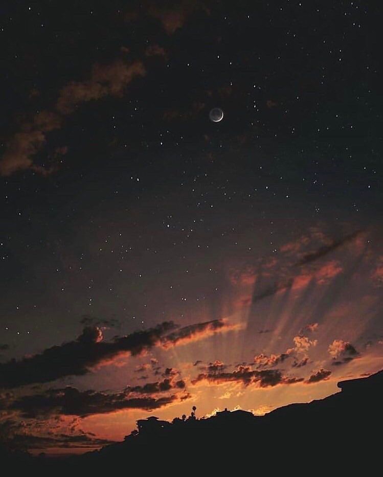 aestheticspost_'s tweet photo. https://t.co/r4eTxlvC9s