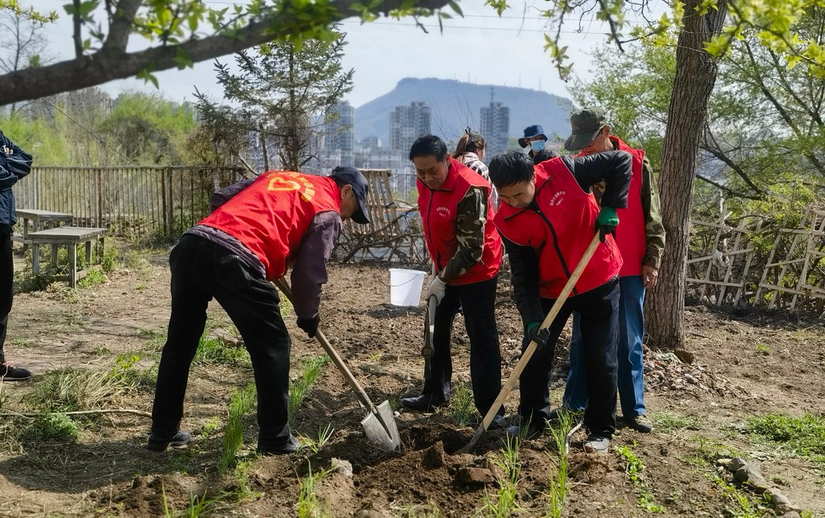 tina86be4's tweet photo. Just wrapped up a 2-day community garden volunteer project! Helped plant 50+ saplings and clean up 2 empty lots—seeing the green shoots already gives me so much joy. Grateful for every teammate who showed up with smiles and energy.  #VolunteerLove #CommunityImpact https://t.co/qLaHH6Rr7g
