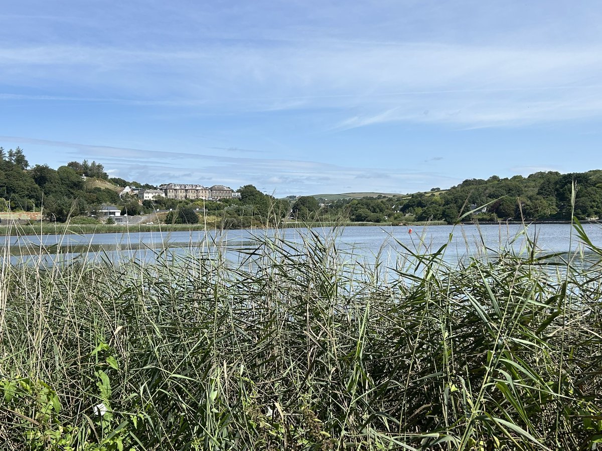 DeasyPamela's tweet photo. #Day211 of #300daysofwalking
#WestCork #Cork #blueskies 😎
#August2026 https://t.co/xRKTBxXZqo