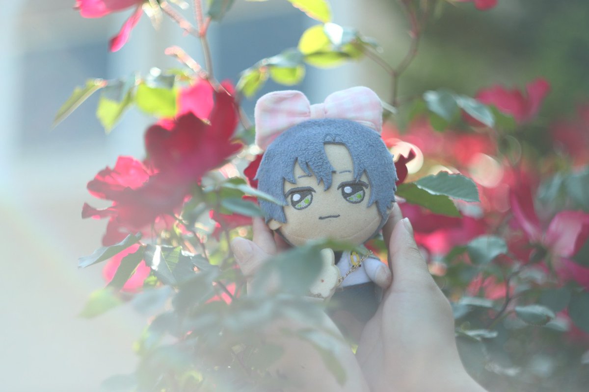 renononui's tweet photo. #まほやく_ぬい https://t.co/kL1vvhEeb9