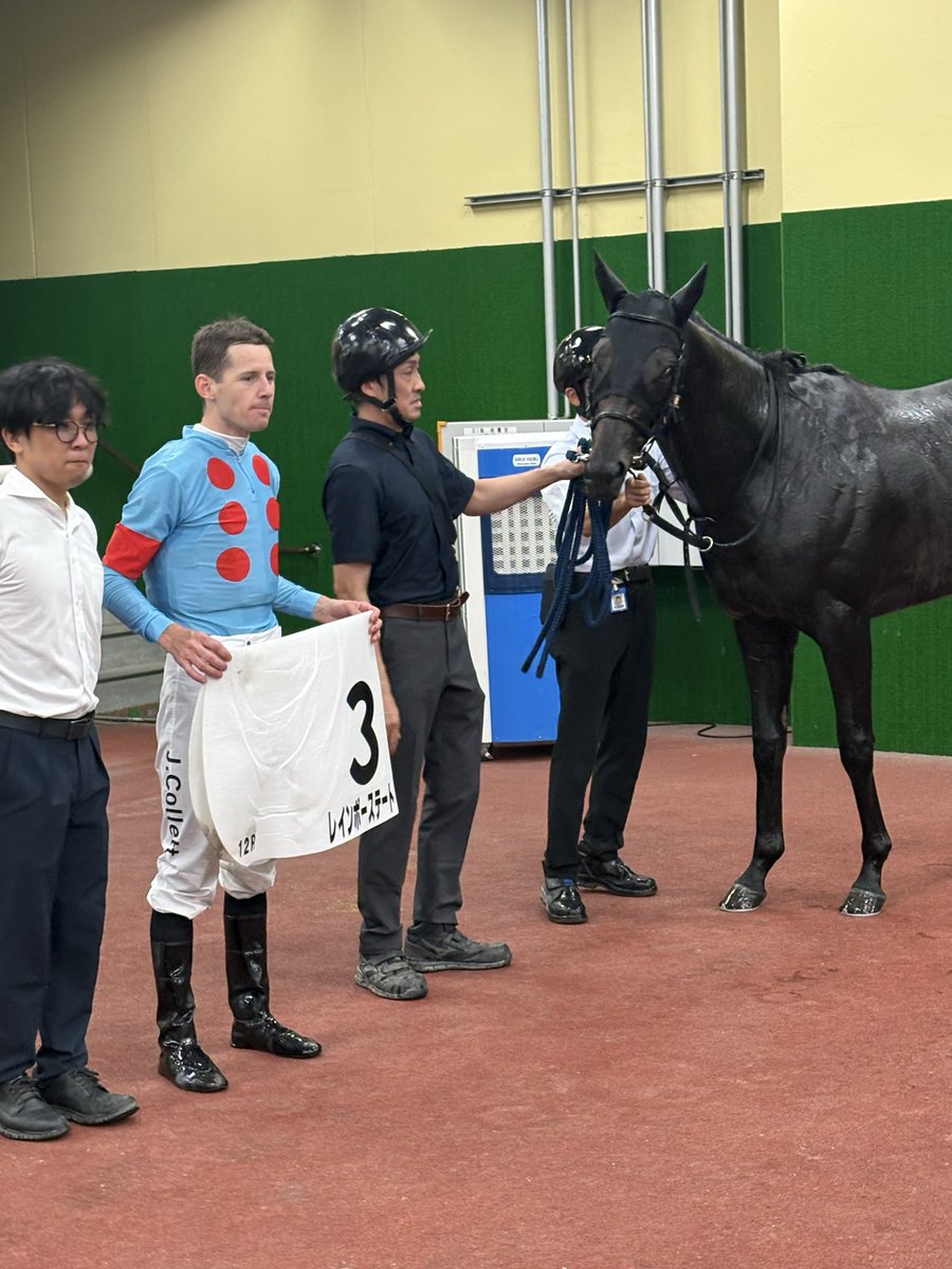 SILKHCofficial's tweet photo. 【今日の1枚】@中京競馬場

見事に新馬戦を勝利で飾った #レニュアージュ。
また、暑さの中でも最後まで全力を出して勝ち上がった #リベッチオ
そして、最終レースでは最内から鋭く伸びて待望の初勝利を飾った  #レインボーステート

蒸し暑い中でもしっかり力を発揮して勝利を収めてくれましたね✨

皆様おめでとうございました🎊

#silkhc
#中京競馬場