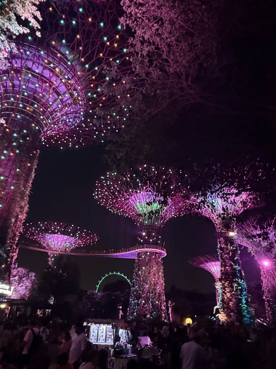 Bby0801's tweet photo. If you come to Singapore, be sure to spend your night at Gardens by the Bay! https://t.co/6omvDRY1tb