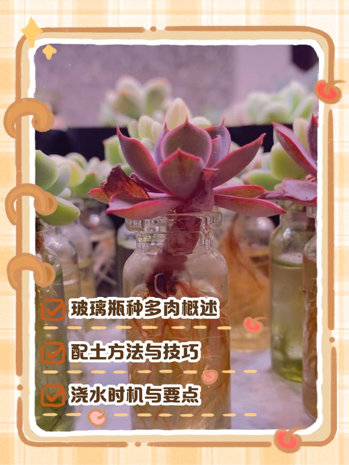 corazonroto98's tweet photo. Turn an old glass jar into a cute succulent planter with just some paint and rocks! Perfect small DIY for your desk. https://t.co/YtDOHdBrM1