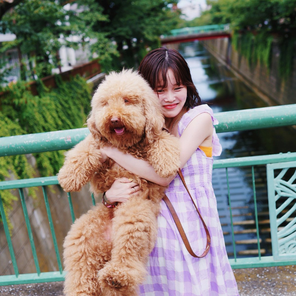 guita_rei's tweet photo. 全国ツアー岡山と静岡公演、無事完奏。お越しのみなさんありがとう。ひとりひとりと目があって、ちょっと通じ合えた気持ちになりました。みんなはどうかな？
来週 8/15 は北海道でライジング (フェス)、8/16 旭川 8/18-8/19 札幌です。いくぞいくぞ🍋 https://t.co/PCFaYtgewJ
