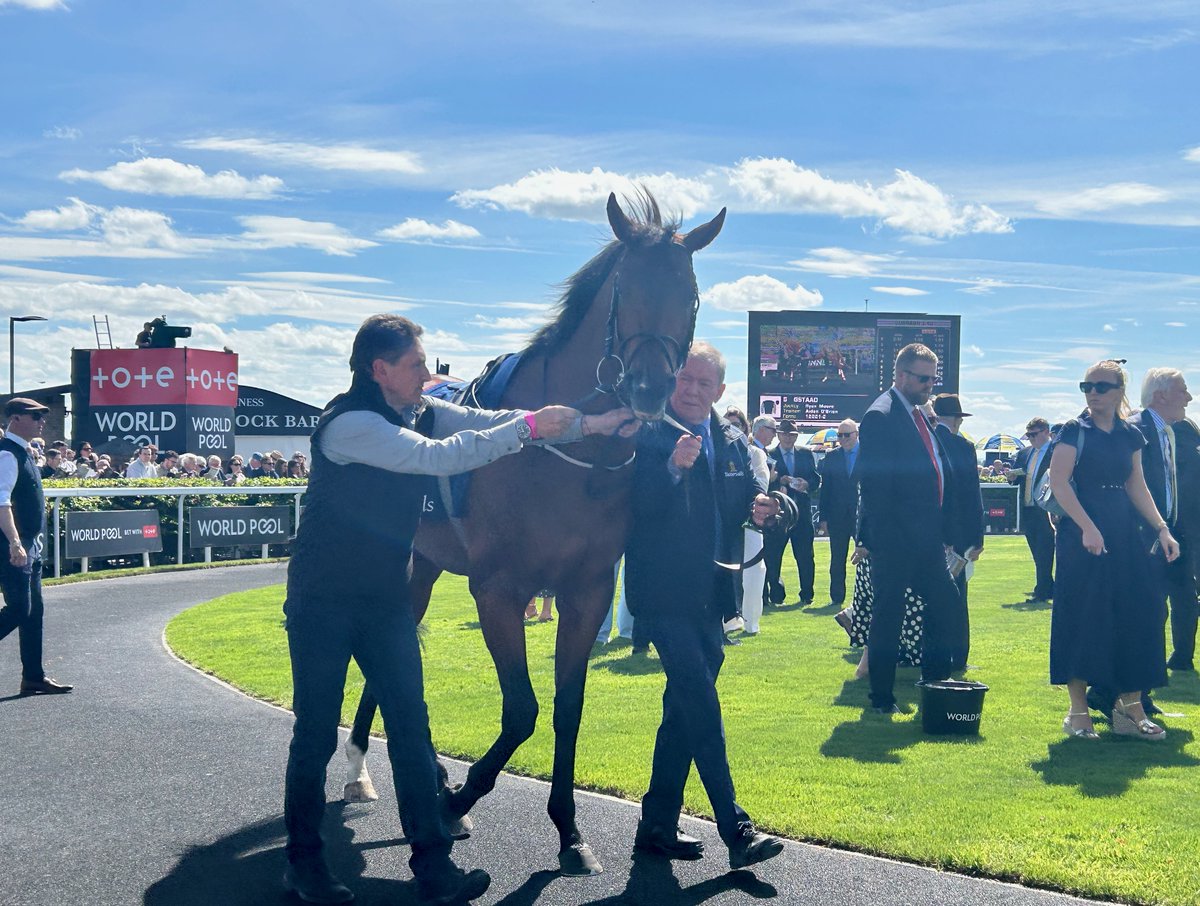 patternracing's tweet photo. Prix Maurice de Gheest (Group 1)

A fascinating race over 6½f at Deauville where a pair of Irish horses and three English horses take on a home team of six French horses....

https://t.co/x3HSCodn2d 

@fgdeauville @francegalop @WorldPool @AtTheRaces @JohnnyMurtagh https://t.co/nkYUWDaoyM