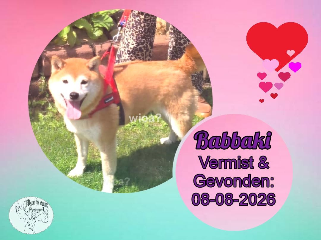 waarisonzeangel's tweet photo. Babbaki uit #Amsterdam #NoordHolland is weer #Veilig
https://t.co/LOVLf4Suvk
Donaties aan onze stichting kunnen weer via de verdubbelaar
https://t.co/H9cHsSGiSD https://t.co/OeWfp3VziT