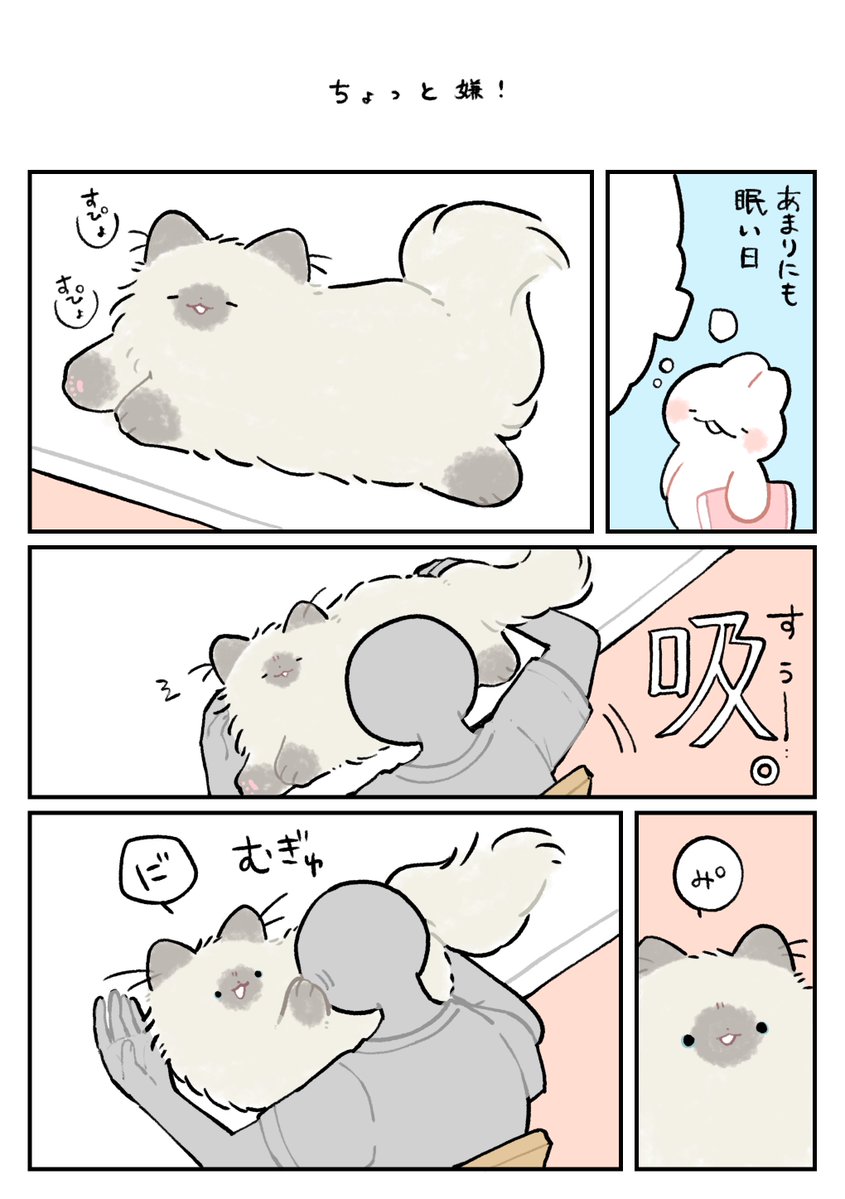 nasuka_gee's tweet photo. ね、ねむい

#深夜のネコチャン
#漫画が読めるハッシュタグ https://t.co/aJqs5MWpTa