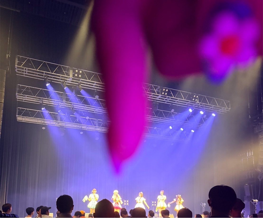 nnn_com_2414's tweet photo. かわちさんでした🎀🍓

ツンツンして遊んでた（╹◡╹）♡ https://t.co/oY6hA5Nzf0