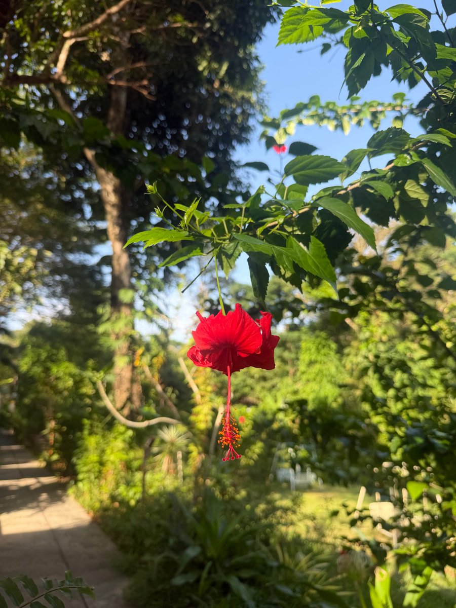Yoonarat's tweet photo. 이런 분위기 좋은 공간을 발견하는 것도 작은 행복인 것 같아요ㅎㅎ
자연과 함께 천천히 즐기는 커피 한 잔의 여유가 정말 힐링이네요 https://t.co/X8GVIDq8mP