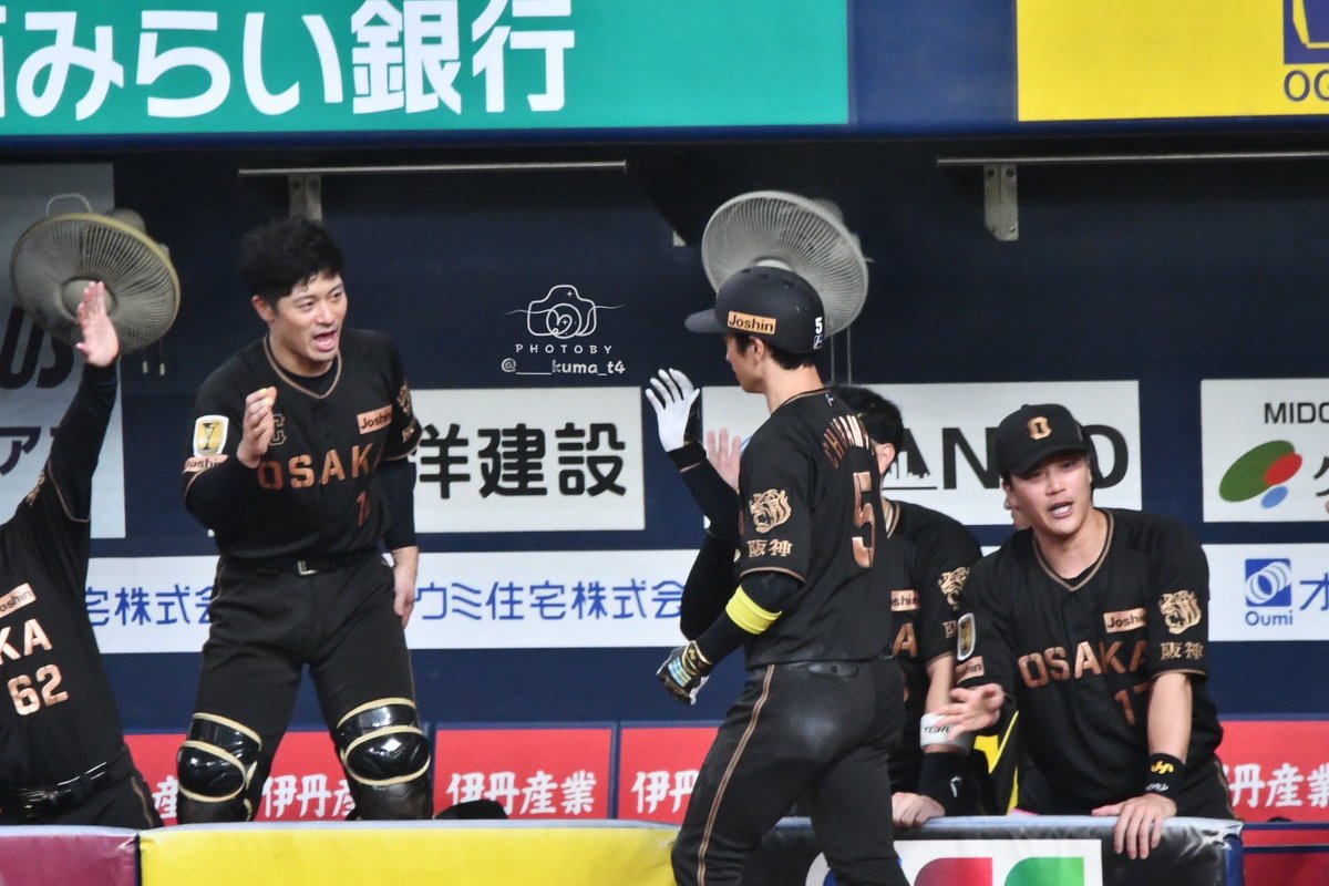 ____kuma_t4's tweet photo. 2026.8.9 京セラドーム大阪

①パワー💪な寅威さん←
②めっちゃ高いとこにいるキャプテン←
③ヤッター！な海くん←

 #近本光司  #伏見寅威  #佐藤輝明
 #坂本誠志郎  #植田海 
 #阪神タイガース #hanshin #hanshintigers https://t.co/iZ4IlIPAun