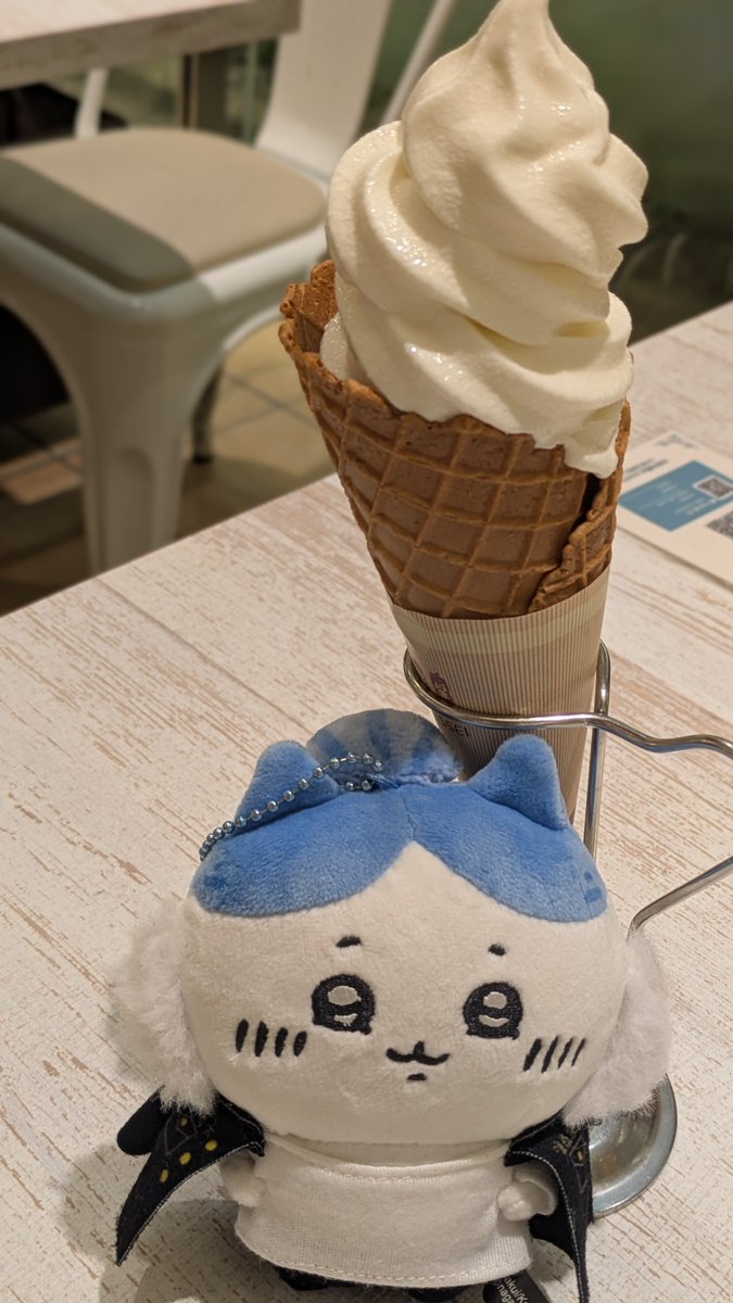 shinono0123's tweet photo. 使い時だったのでマイキーハチワレ連れてちいかわみてきた(=^・・^=) https://t.co/FIAW8K136Z