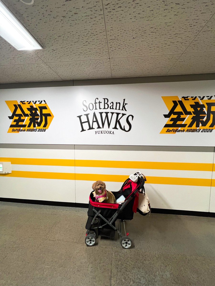 gorizo_1's tweet photo. 今日のpet博良かった！ https://t.co/LrpGkovVJ3