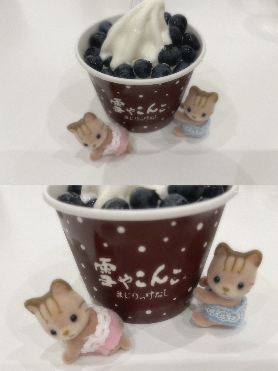 _nekosaiko's tweet photo. https://t.co/1Ku48JY9CJ