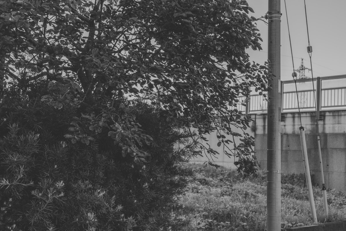 2567 #monochrome #モノクローム