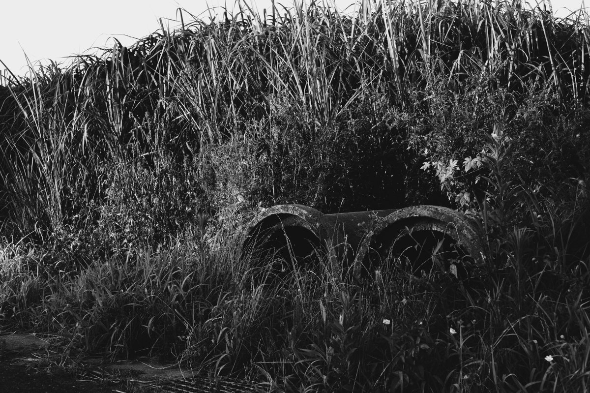 2567 #monochrome #モノクローム
