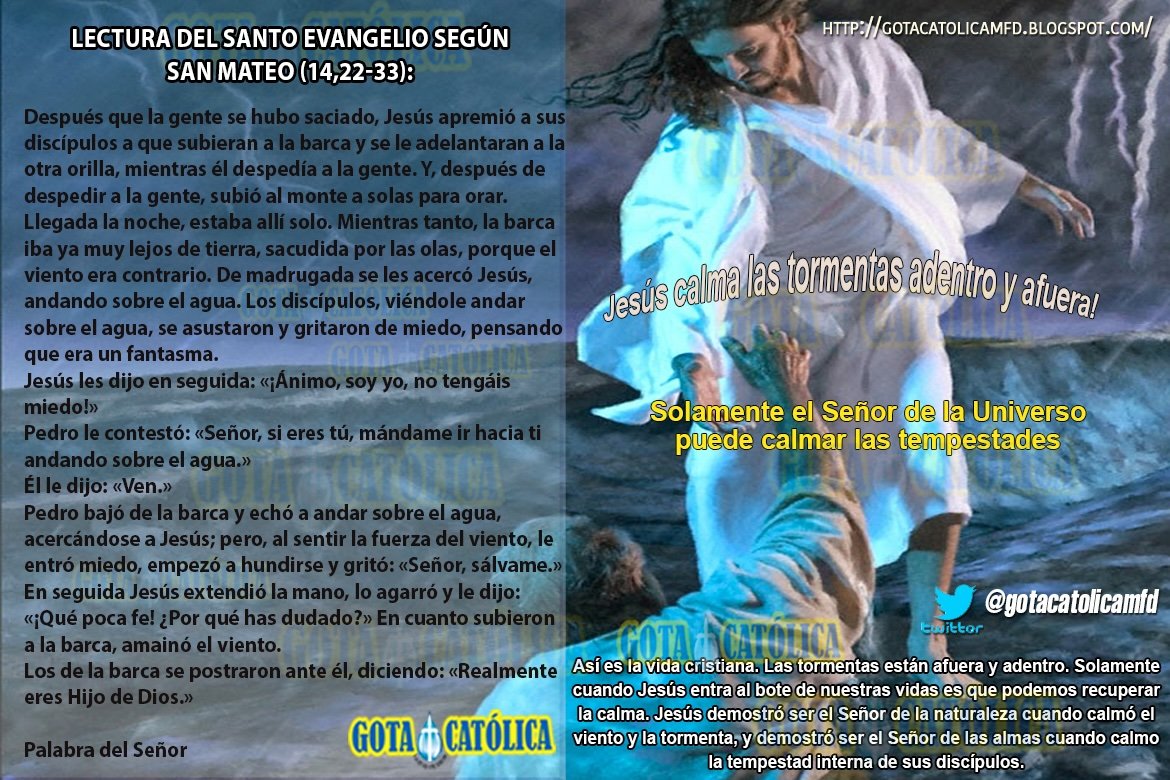 gotacatolicamfd's tweet photo. #domingo, 9 de agosto de 2026
#agosto #buenosdias #evangelio Evangelio y Lecturas del XIX Domingo del Tiempo Ordinario 09 Ago 2026 / Evangelio Lectura del santo evangelio según san Mateo (14,22-33): https://t.co/Tl4P3NIULn