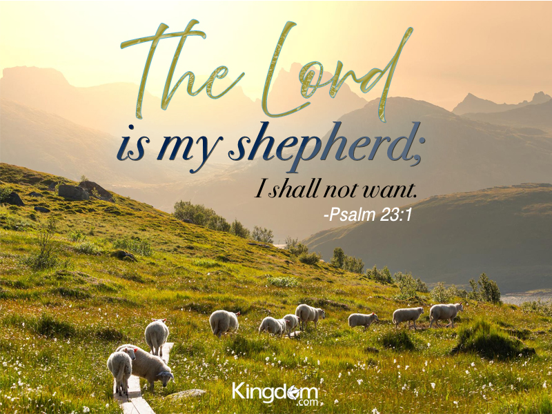 BetterLifeCOGIC's tweet photo. https://t.co/8rpjIRUvpi