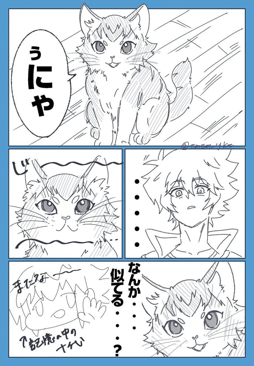 tmtm_ykt's tweet photo. 十代が猫になっちゃった！？な話。背景はありません。描けないからです（正直）　このあと色んな人が巻き込まれます　こんな感じのオールキャラギャグ本ありませんか　私が買います https://t.co/PfKG8OaDfx